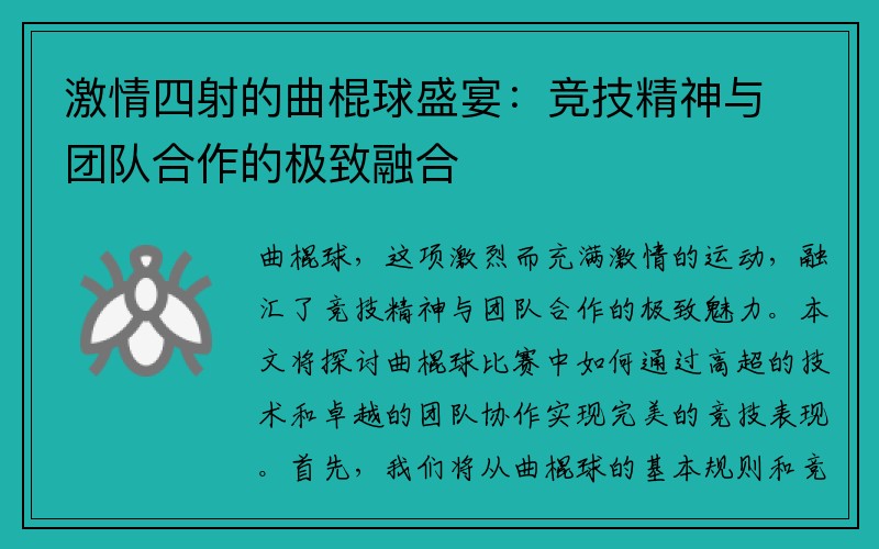 激情四射的曲棍球盛宴：竞技精神与团队合作的极致融合